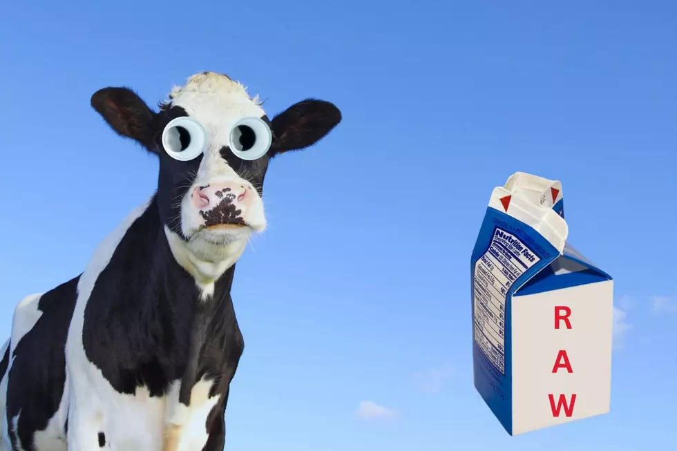 Iowa’s Raw Milk Revolution-Is It Safe to Drink?