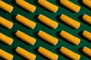 Know Before You Go: The 2026 St. Jude Sweet Corn Festival