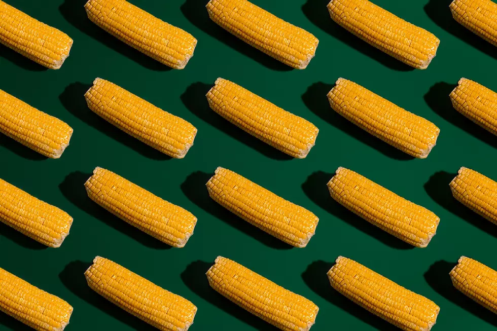 Know Before You Go: The 2026 St. Jude Sweet Corn Festival