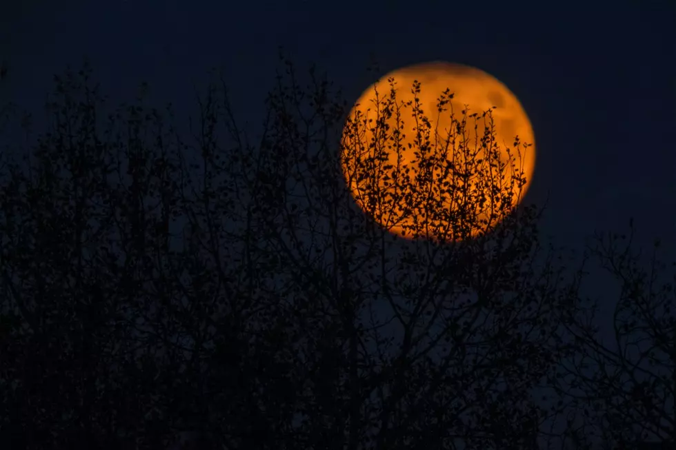 Halloween Full Moons Are Rare. Here’s When Iowa Will See The Next One