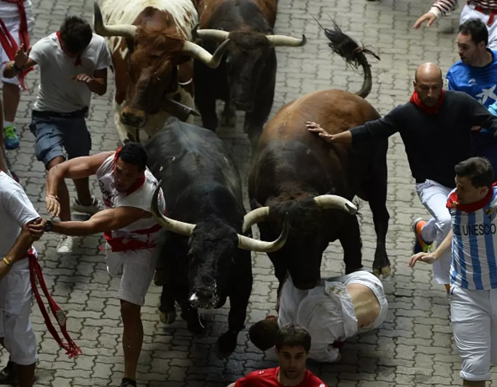 Morons Injured at Annual “Running of the Bulls”