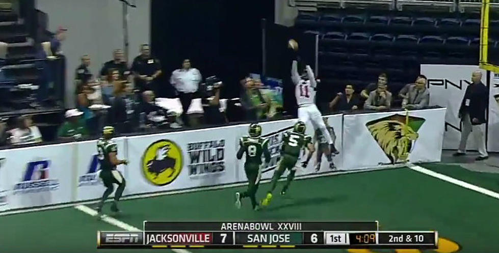 This Arena Football Catch has Me Jonesing for Titans Football [VIDEO]