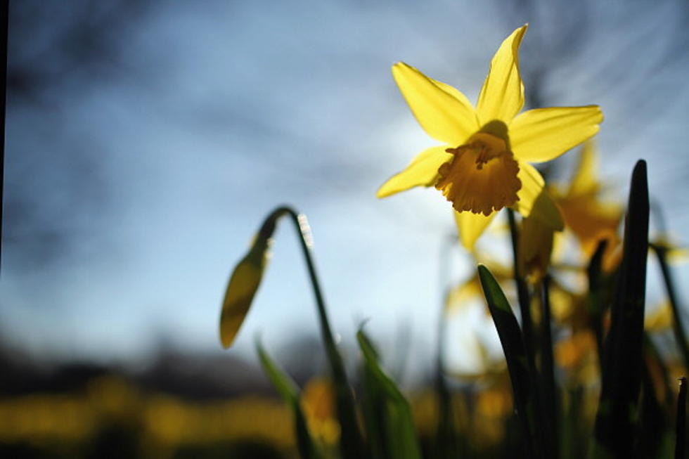 10 Beautiful Iowa Spring Photos