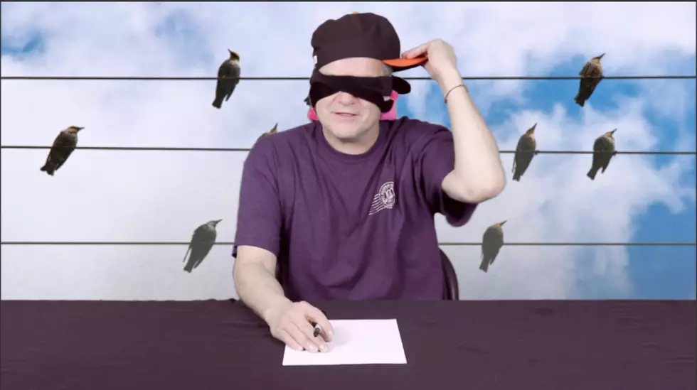 Iowans Draw Birds Blindfolded on National Draw a Bird Day