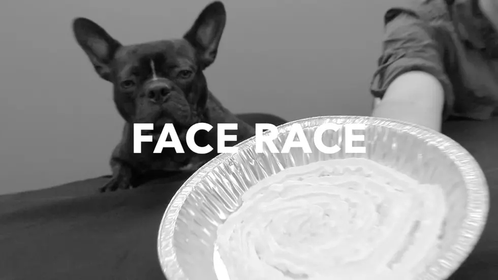 Canine Contest: Face Race [VIDEO]
