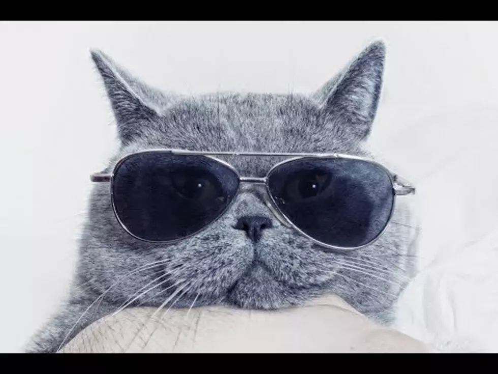 Jaymz Gets New Sunglasses [VIDEO]