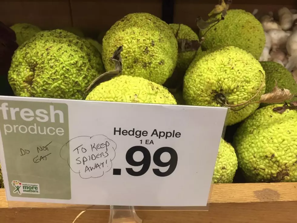 Why Are You Selling Horse Apples, Iowa?