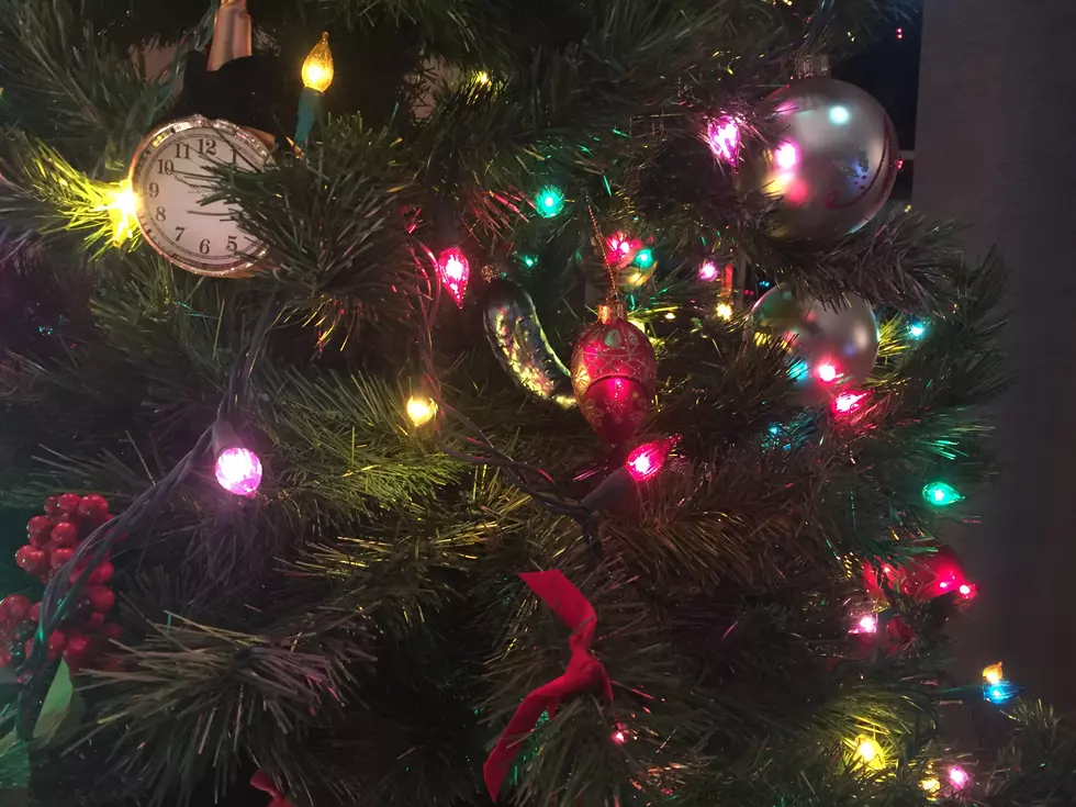 Five Fabulous Cedar Rapids Christmas Traditions