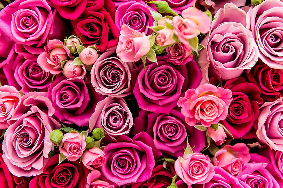 The ROSE is the Internet’s Next Big Brain Teaser