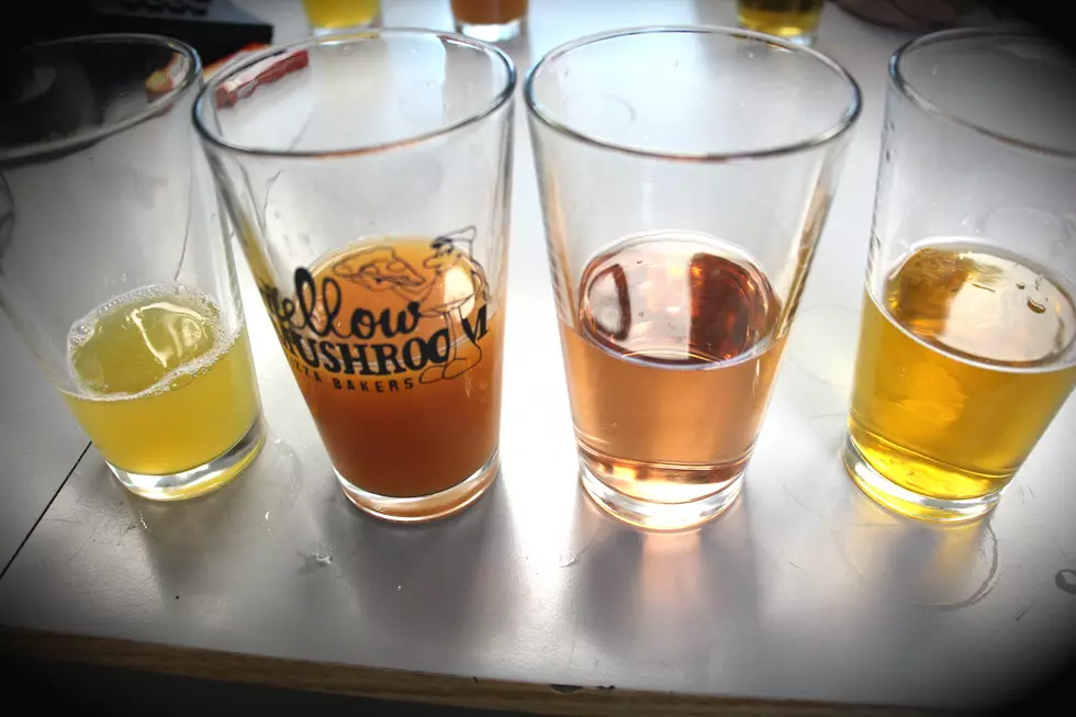 Ciders, Sours and Shandys Oh My! [VIDEO]