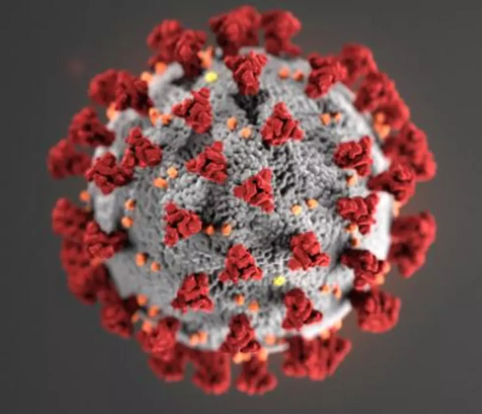 Eastern Iowa Gets Its First Coronavirus Case