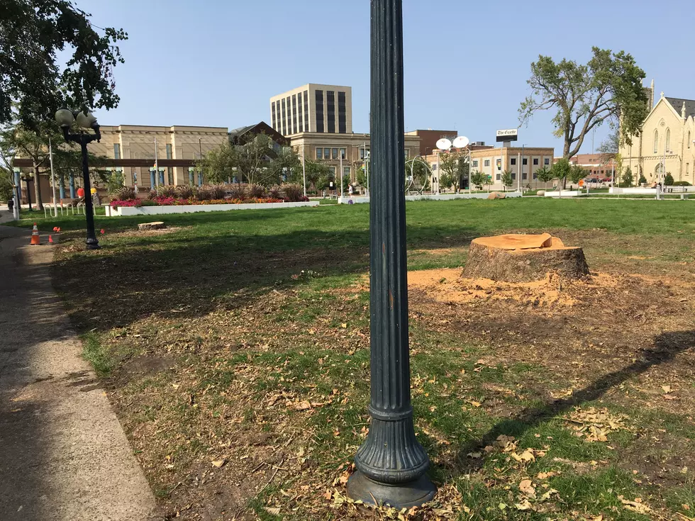 Before + After Derecho: Greene Square Photos