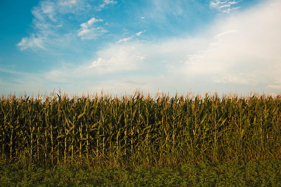 Hey Iowa, You Smell Pretty Good! Way to Go!