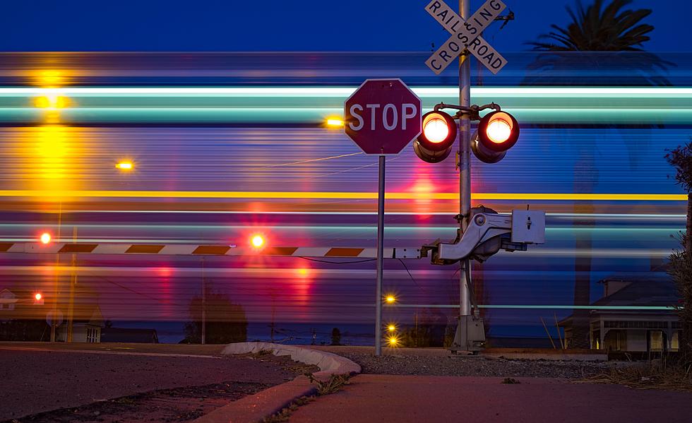 2 People and a Police K-9 Killed in Nebraska High Speed Pursuit Train Crash