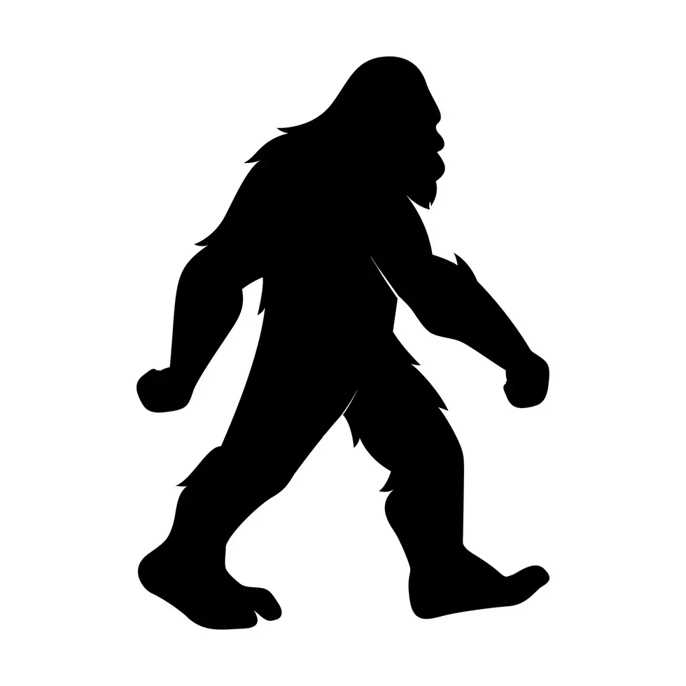 Isolated Vector Bigfoot Silhouette Illustration