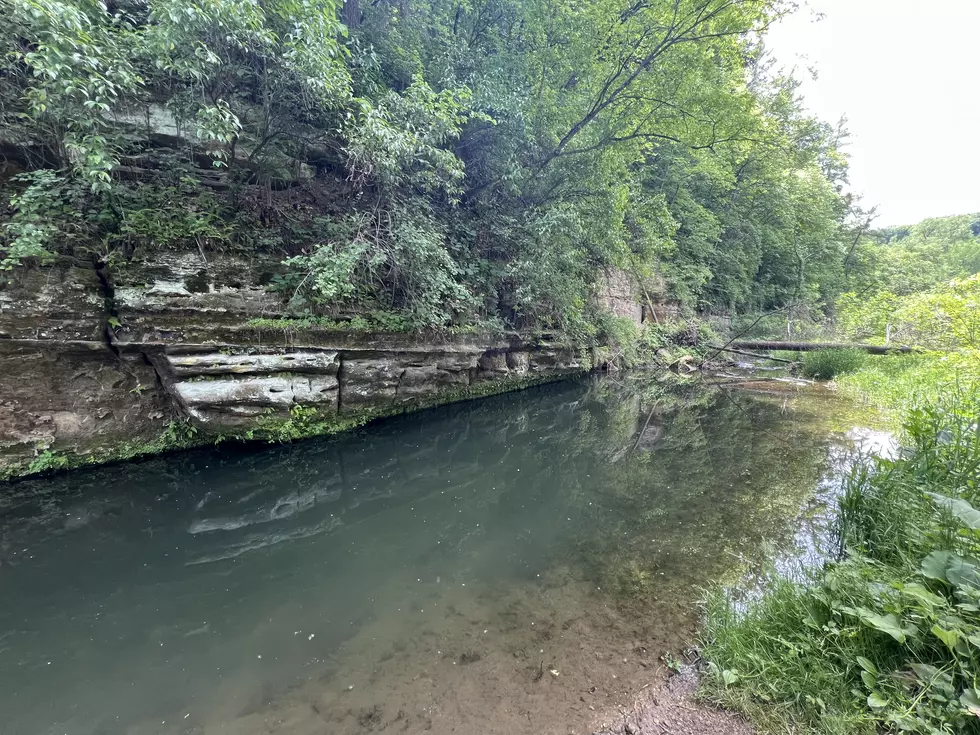 Credit: Tom Drake | Beautiful AND full of blood suckers!