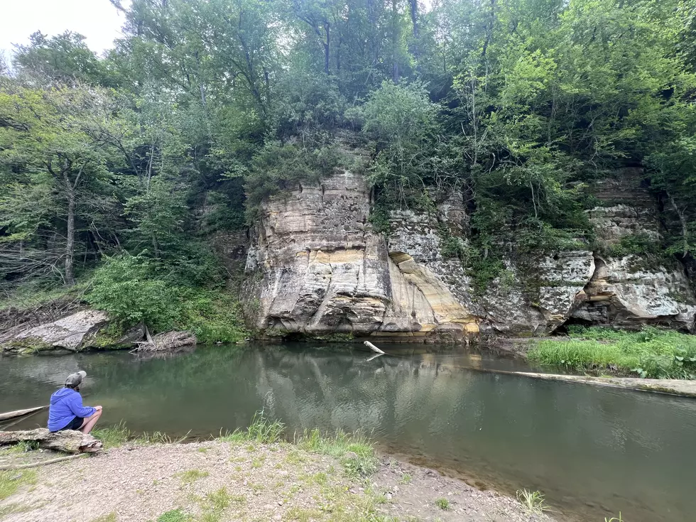 Credit: Tom Drake | This area off of paint creek trail offers a unique view of nesting swallows on the bluff over the creek. They're rather busy birds.