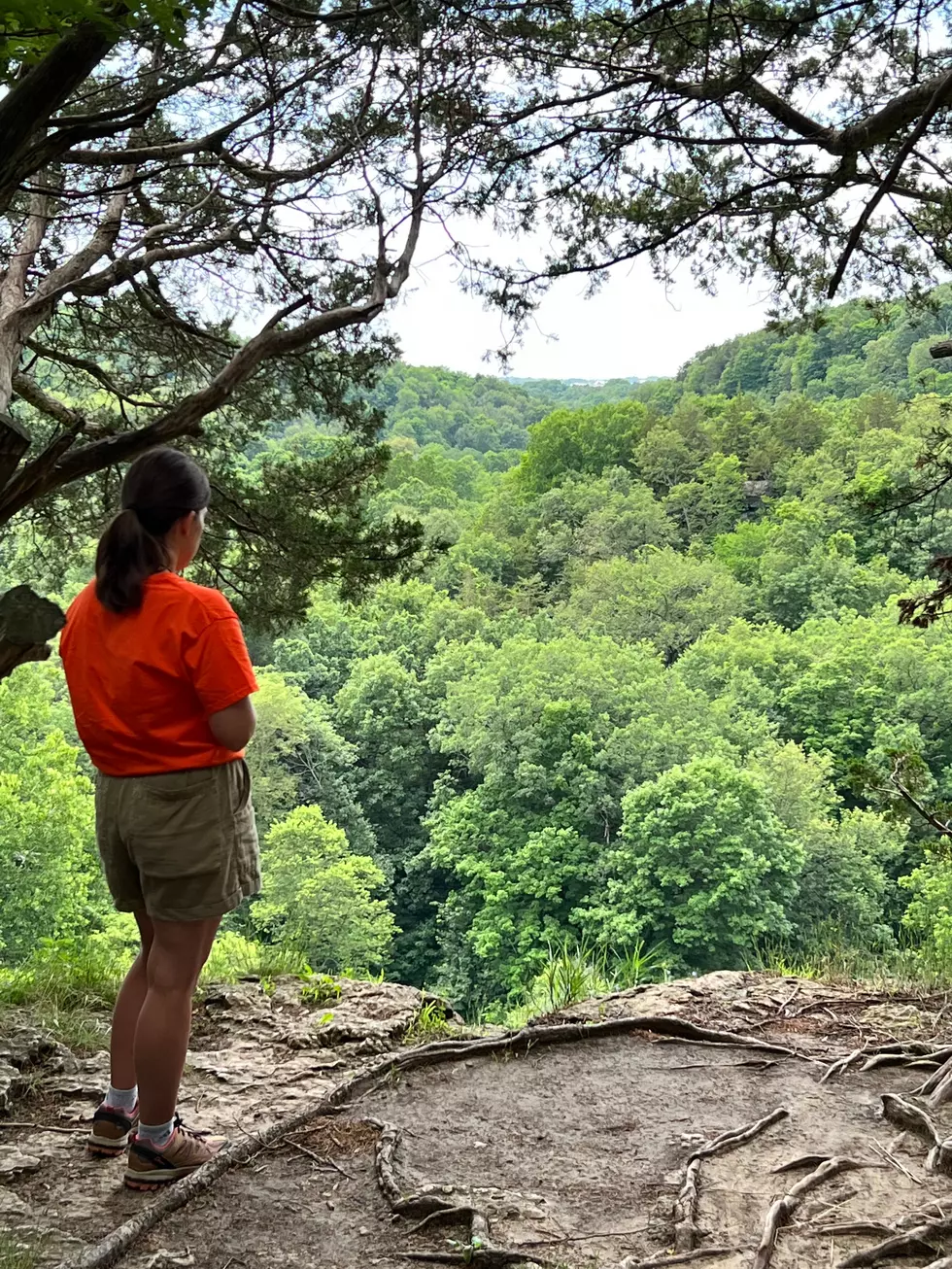 Credit: Tom Drake | My wife, Ashley, stands at the overlook at Whitewater Canyon.