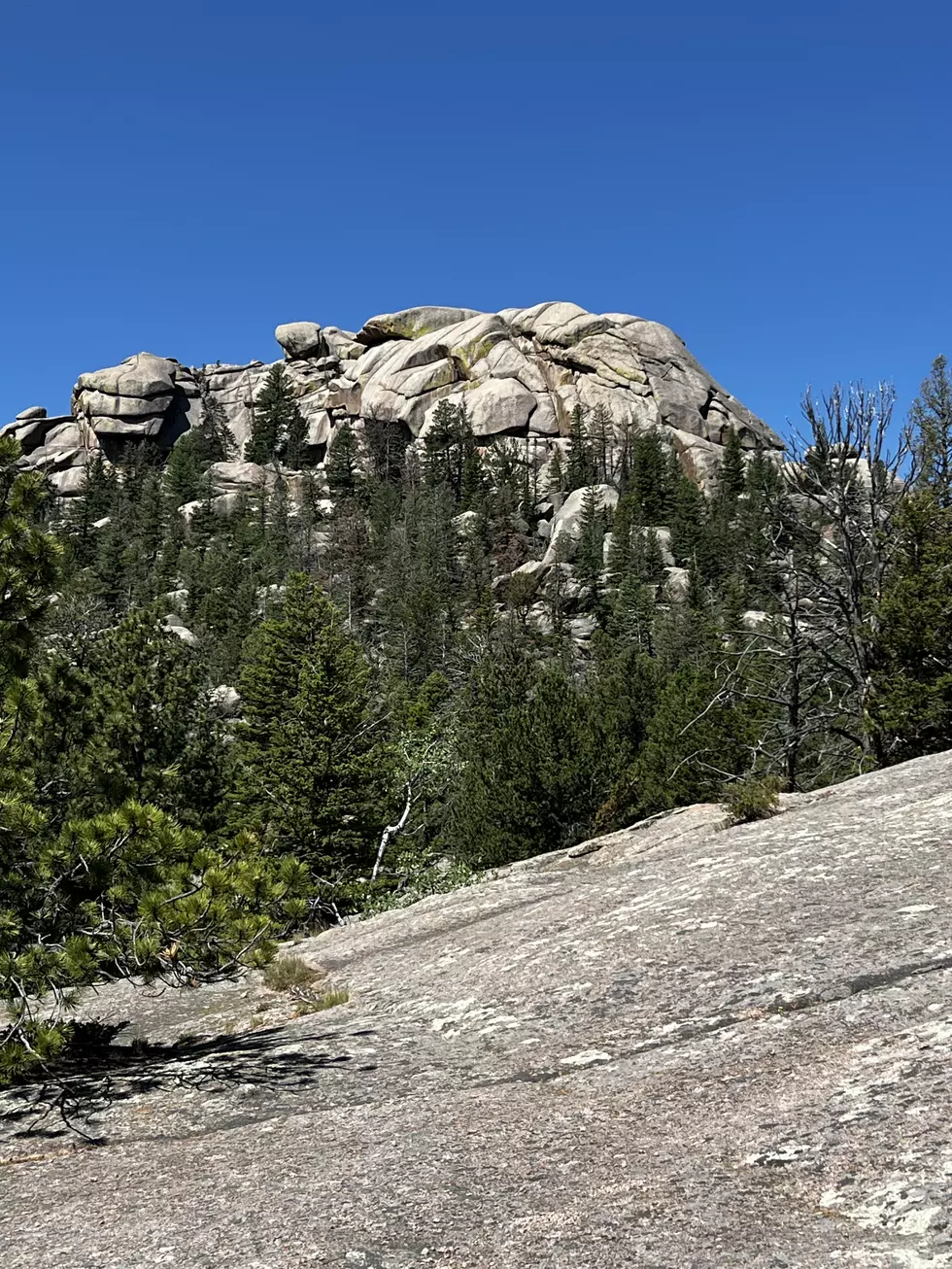 Credit: Tom Drake | Turtle Rock