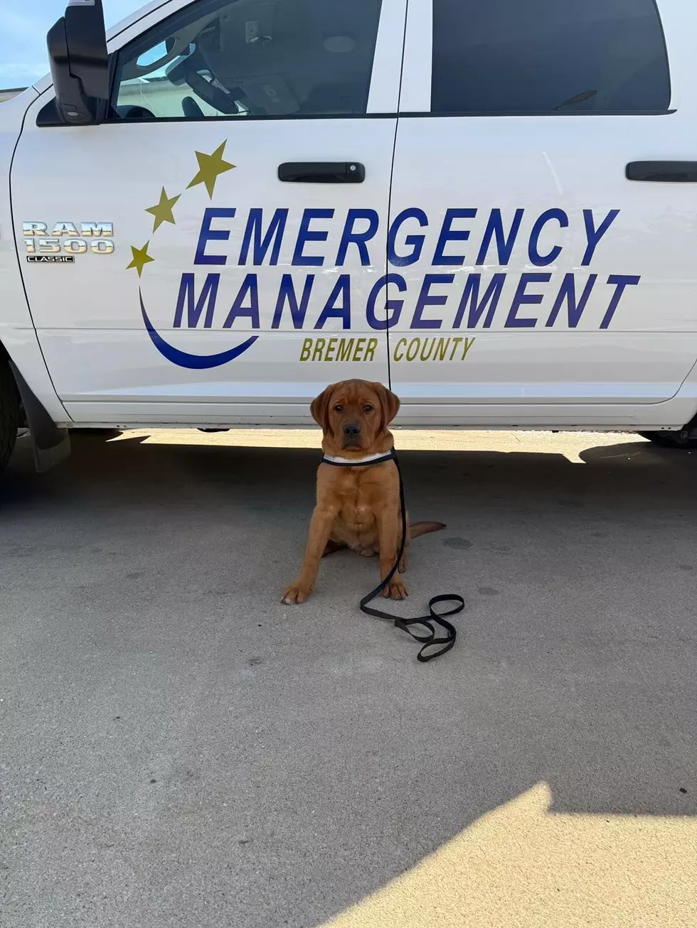 Credit: Response Paws of Iowa