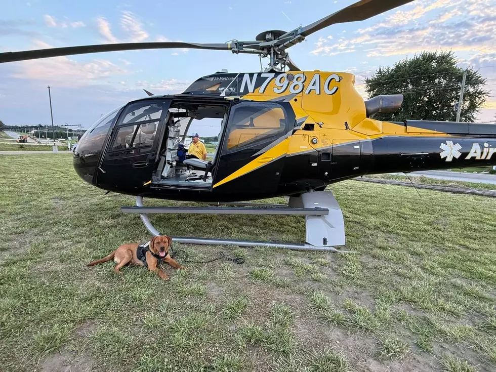 Credit: Response Paws of Iowa