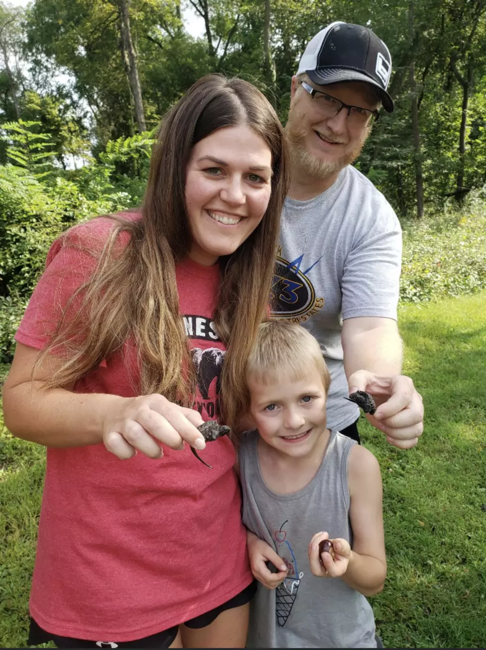 Credit: Tom Drake | Photo taken in 2021. These baby snapping turtles had just hatched and were on their way to the water. We didn't want them stepped on, so they were promptly moved from the trail after this photo was taken. Bennett was showing off his buckeyes.