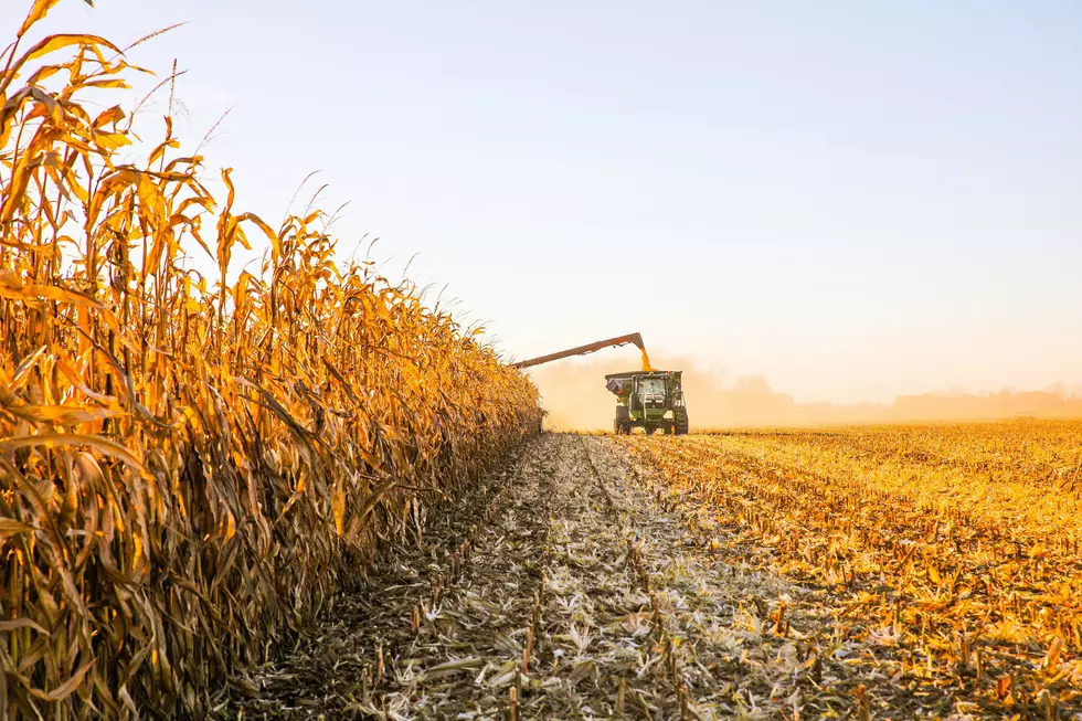 Iowa Farmers Get Diesel Relief During Harvest