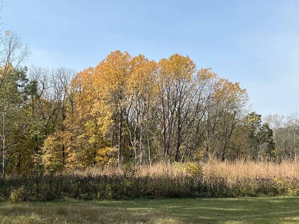 Credit: Tom Drake | Burial mounds at Effigy Mounds National Monument.