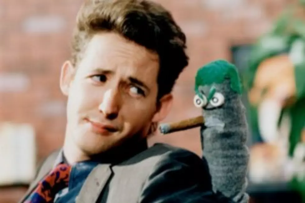 Harland Williams &#8211; this is the guy &#8211; do we need birds buddy?