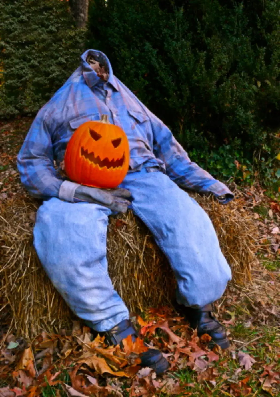 Stuff The Scarecrow!