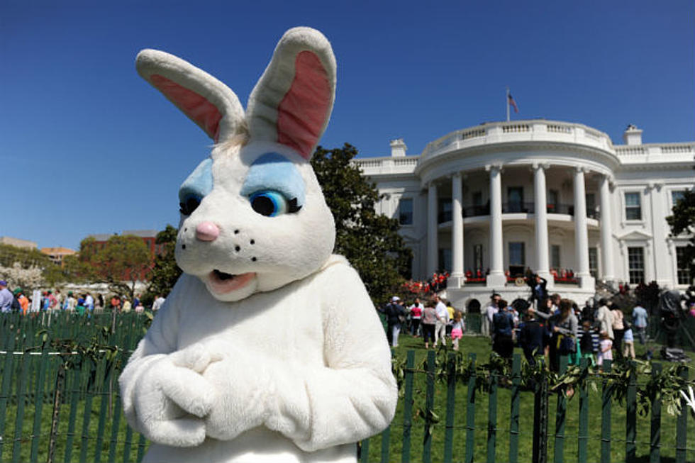 Easter Bunny Sightings – Where Can You Find Them?