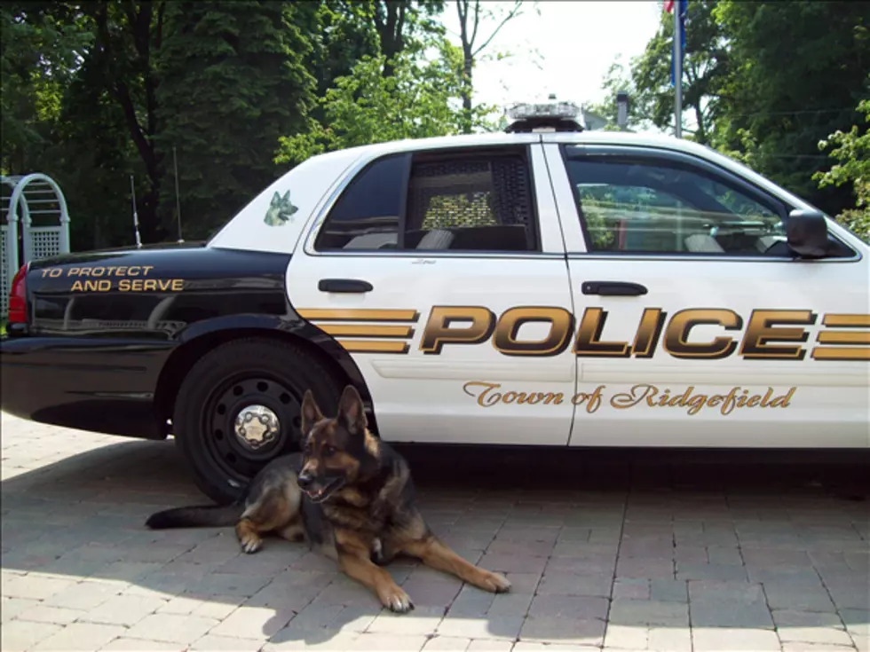 Ridgefield K-9 Officer Zeus to Take His Final Ride [PHOTOS]