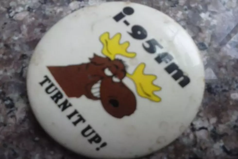Look What I Found On eBay, an Original i95 Moose Pin!