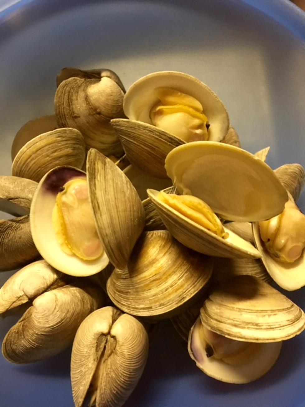 Love Clams? Go To Rhode Island This Week