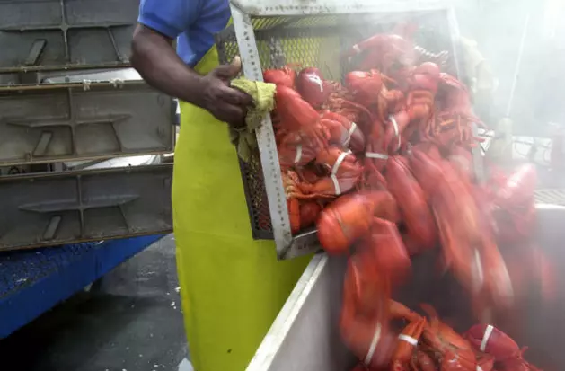 Your Guide to New England Summertime Seafood Festivals