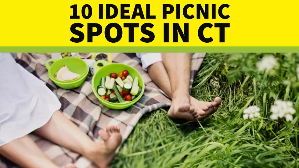 10 Ideal Picnic Spots in Connecticut