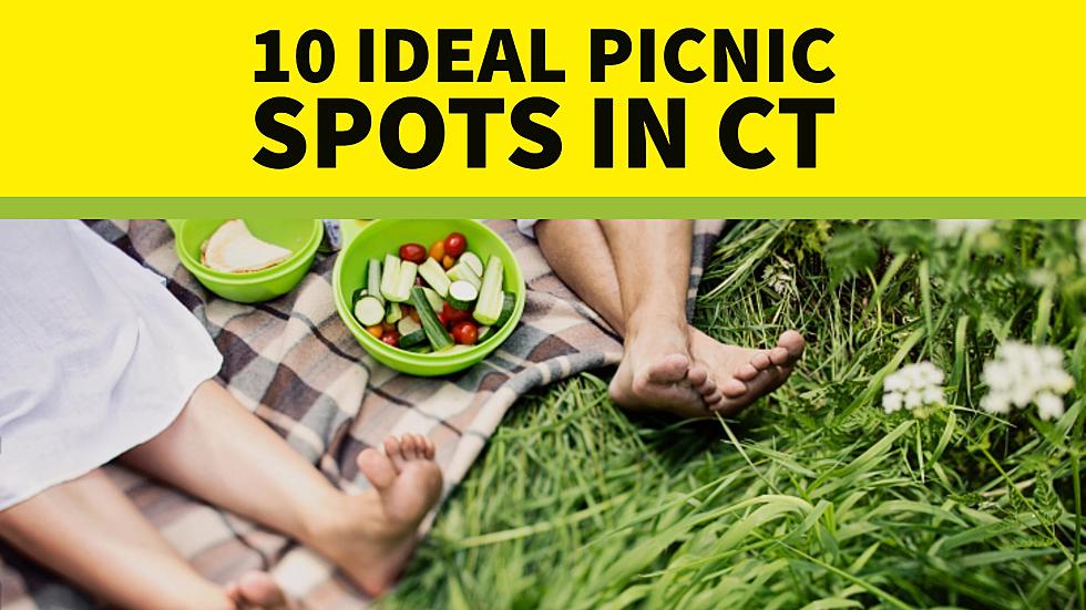 10 Ideal Picnic Spots in Connecticut