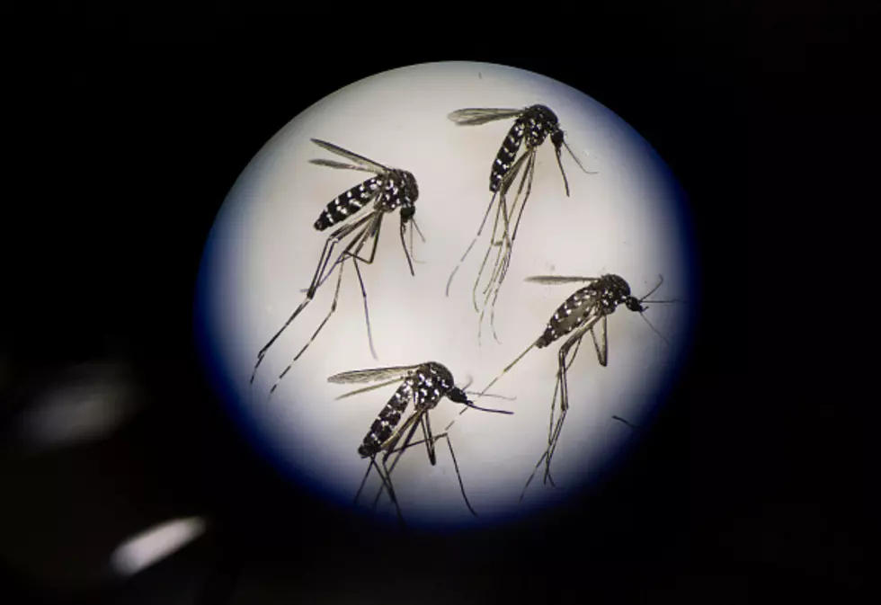 Connecticut Continues to Prepare for Zika Virus Outbreaks