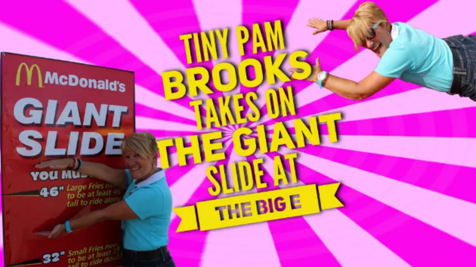 Pam Brooks Takes a Ride On a Giant Slide – What Could Go Wrong?