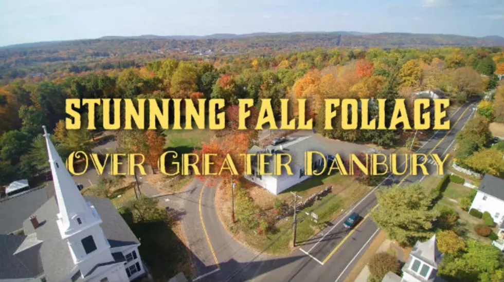 Stunning Drone Footage of Fall Foliage Over Greater Danbury