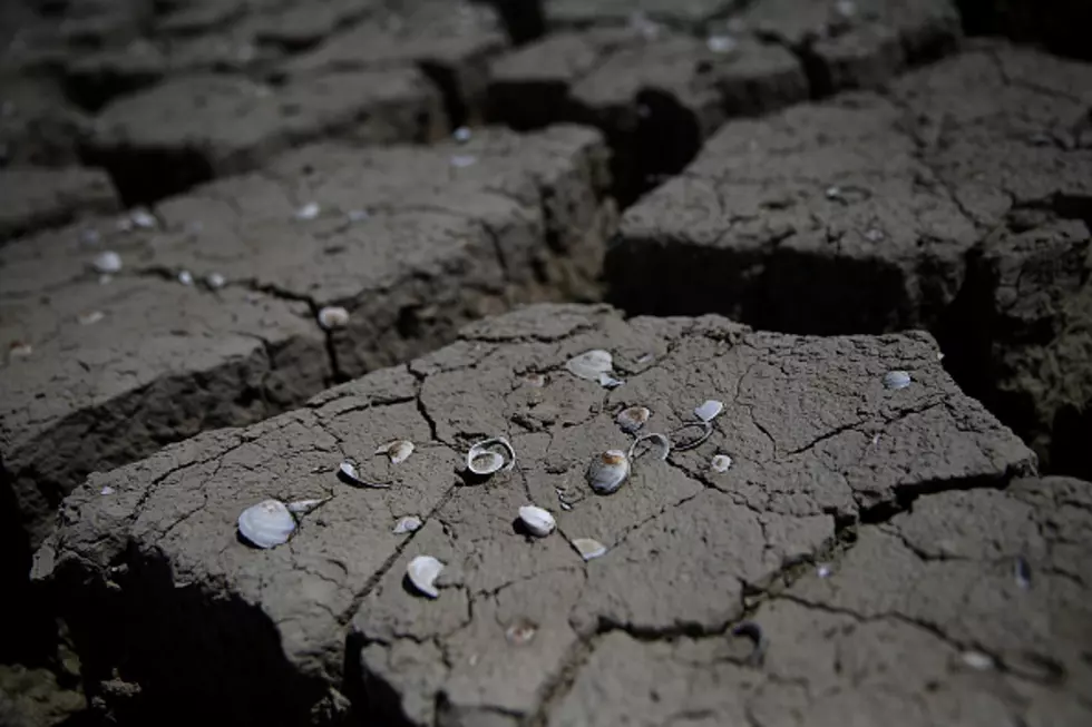 New Report Says Severe Drought Continues In Connecticut