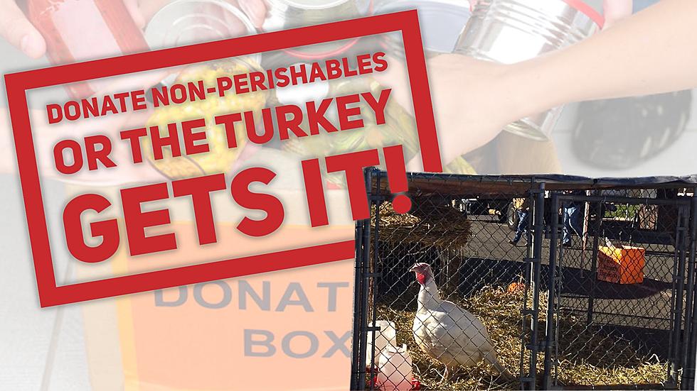 We Need Non-Perishables or This Turkey ‘Gets It’