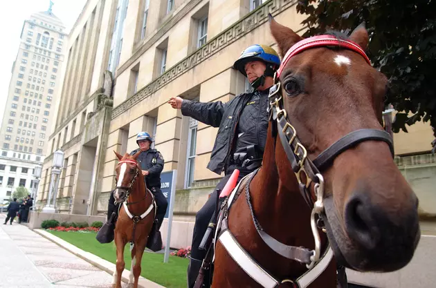 Governor&#8217;s Horse Guard May Save a Mounted Police Unit in Connecticut