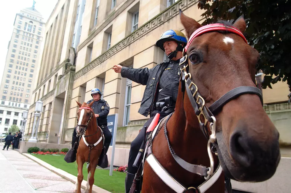 Governor’s Horse Guard May Save a Mounted Police Unit in Connecticut