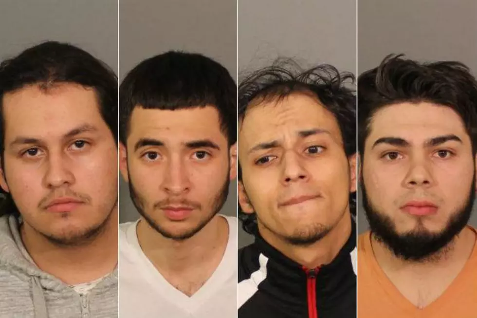 Four From New York Arrested After Firing Gun in a Danbury Park, Police Say