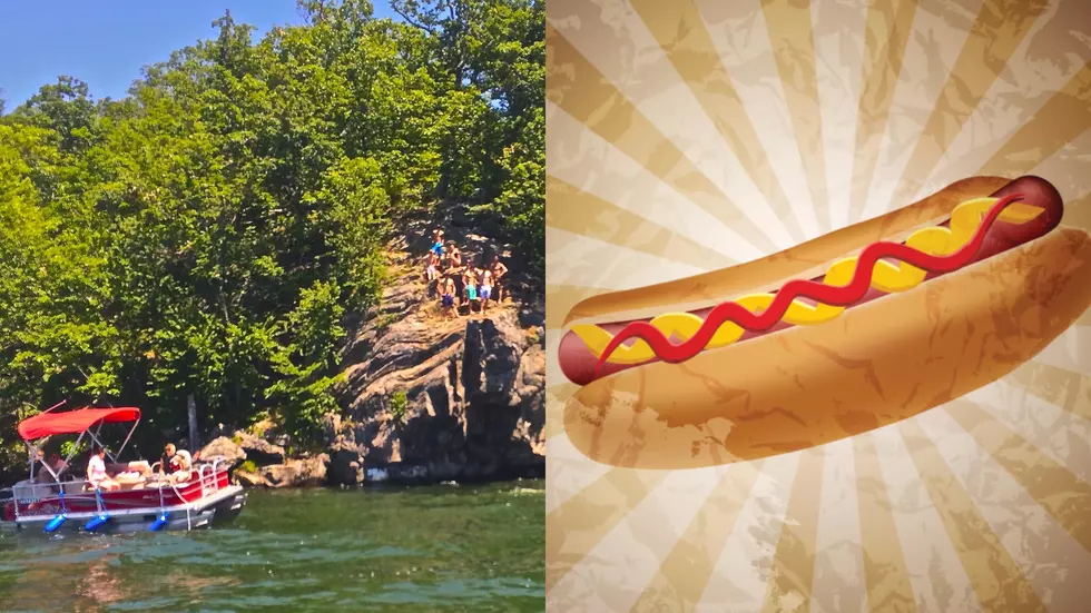 What Do You Think About a &#8216;Hot Diggity Dog Party Pontoon&#8217; on Candlewood Lake?