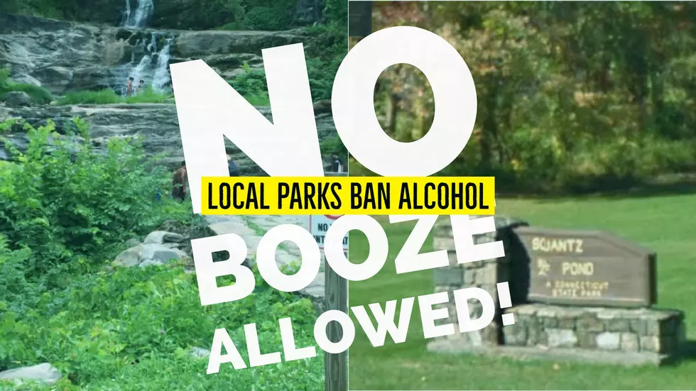 Local Parks Ban Booze!