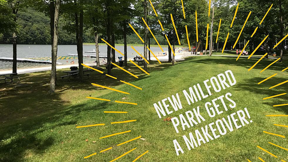 New Milford Park Makeover