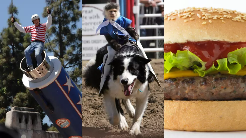 Connecticut Baseball Team Will Feature Monkeys, Human Cannons + Cheeseburgers This Season