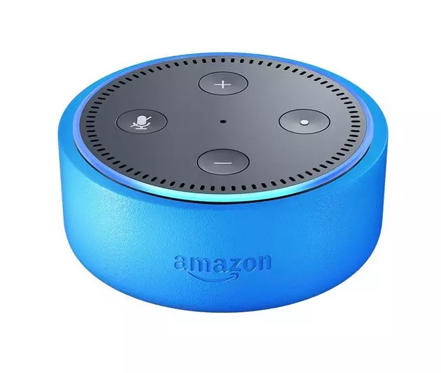 Amazon&#8217;s Echo Dot Alexa Programmed to Raise Your Kids For You